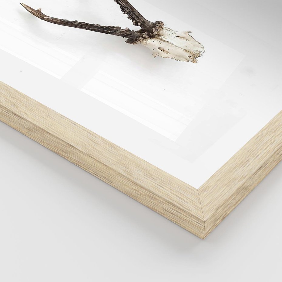 Plakat w ramie 40x50 - Minimalistyczne Poroże Jelenia - poroże jelenia na ścianie, minimalizm - rama drewno