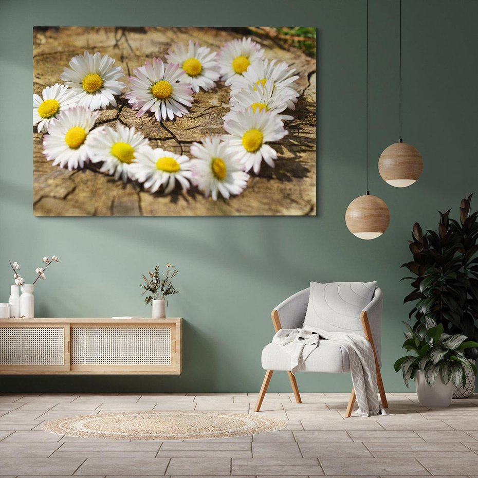 Obraz na płótnie 100x70 - Stokrotki w naturalnym otoczeniu - stokrotki, natura