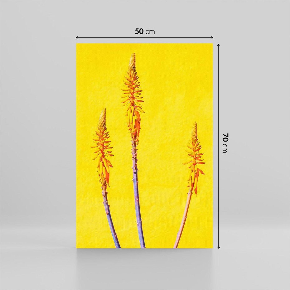 Obraz na płótnie 50x70 - Radość Natury - kolor, kwiaty