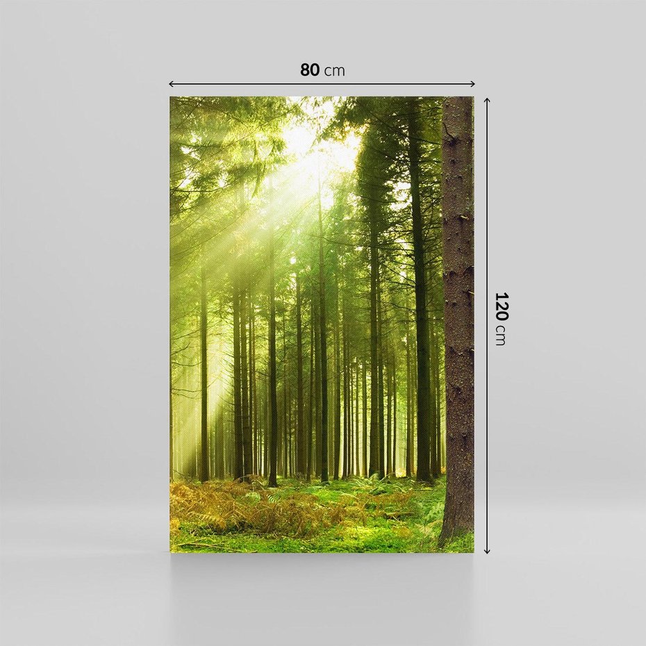 Obraz na płótnie 80x120 - Spokój wśród drzew: las w odcieniach zieleni - las, drzewa