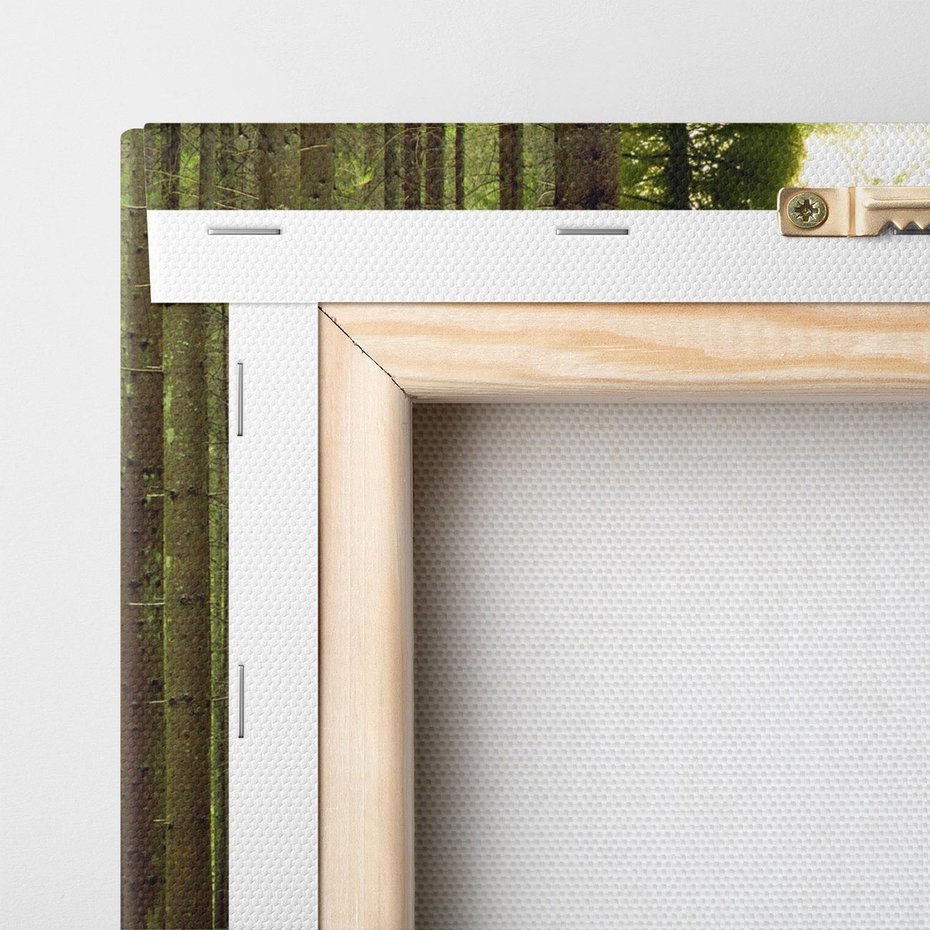 Obraz na płótnie 40x40 - Spokój wśród drzew: las w odcieniach zieleni - las, drzewa