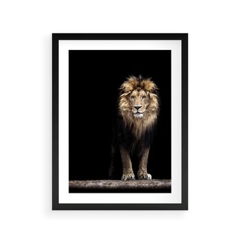 Plakat w ramie 40x50 - Lew: dzikie piękno natury - lew, dzikie - rama czarna