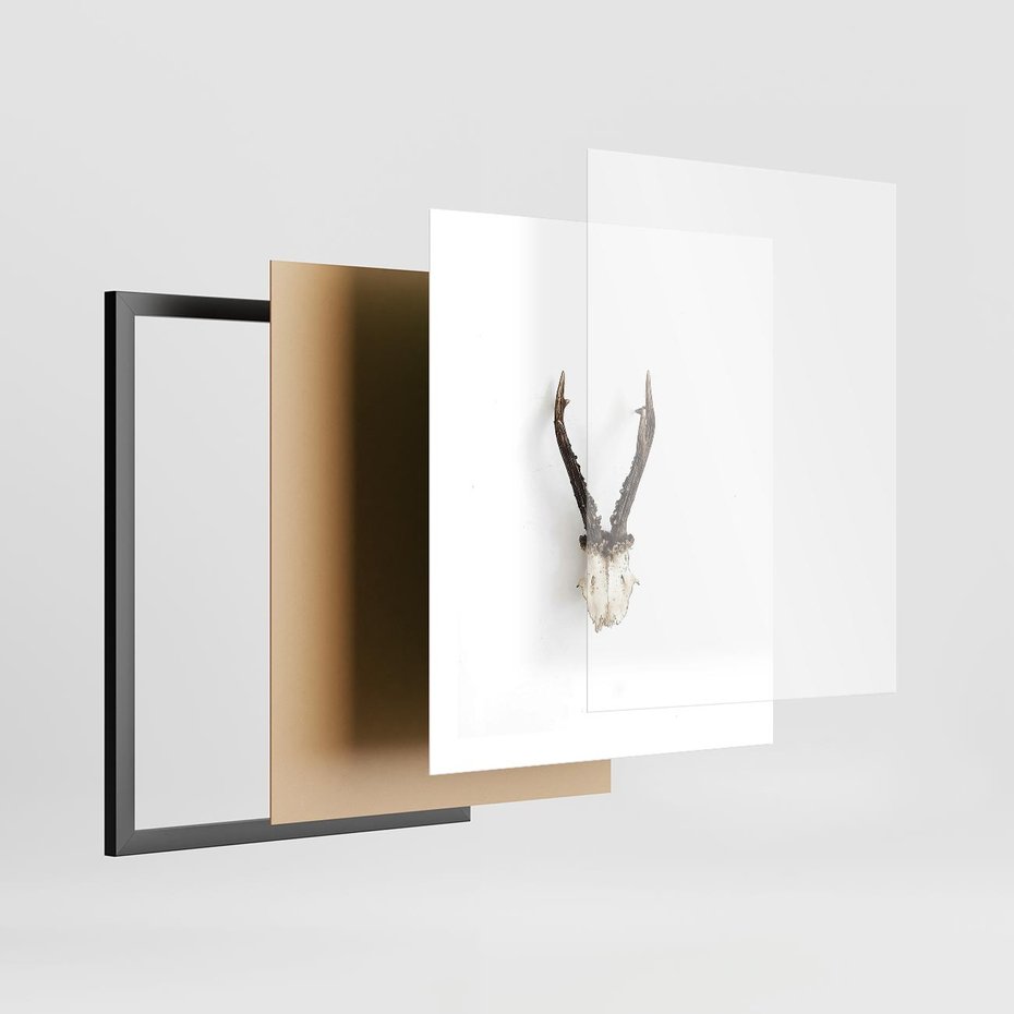 Plakat w ramie 40x50 - Minimalistyczne Poroże Jelenia - poroże jelenia na ścianie, minimalizm - rama czarna