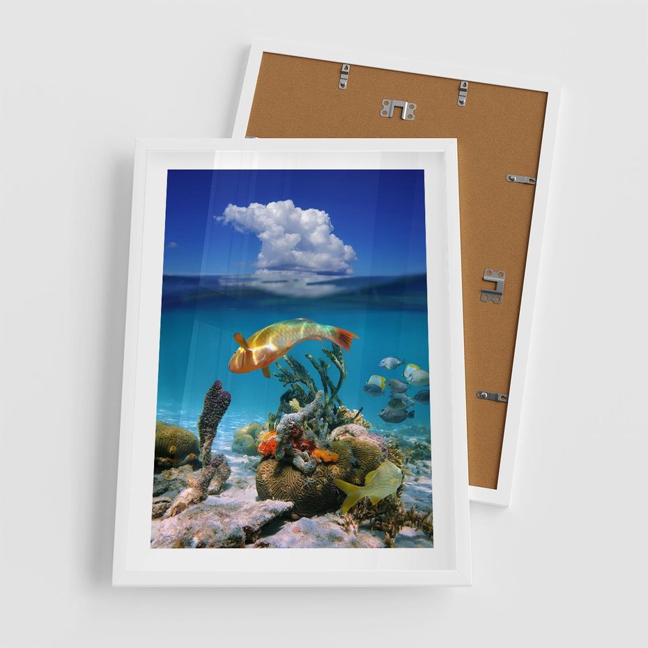 Plakat w ramie 50x70 - Podwodna rafa koralowa: kolorowy oceanowy świat - rafa, koralowa - rama biała