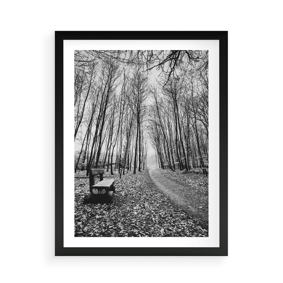 Plakat w ramie 50x70 - Spadające Liście - czarno białe zdjecie, park - rama czarna