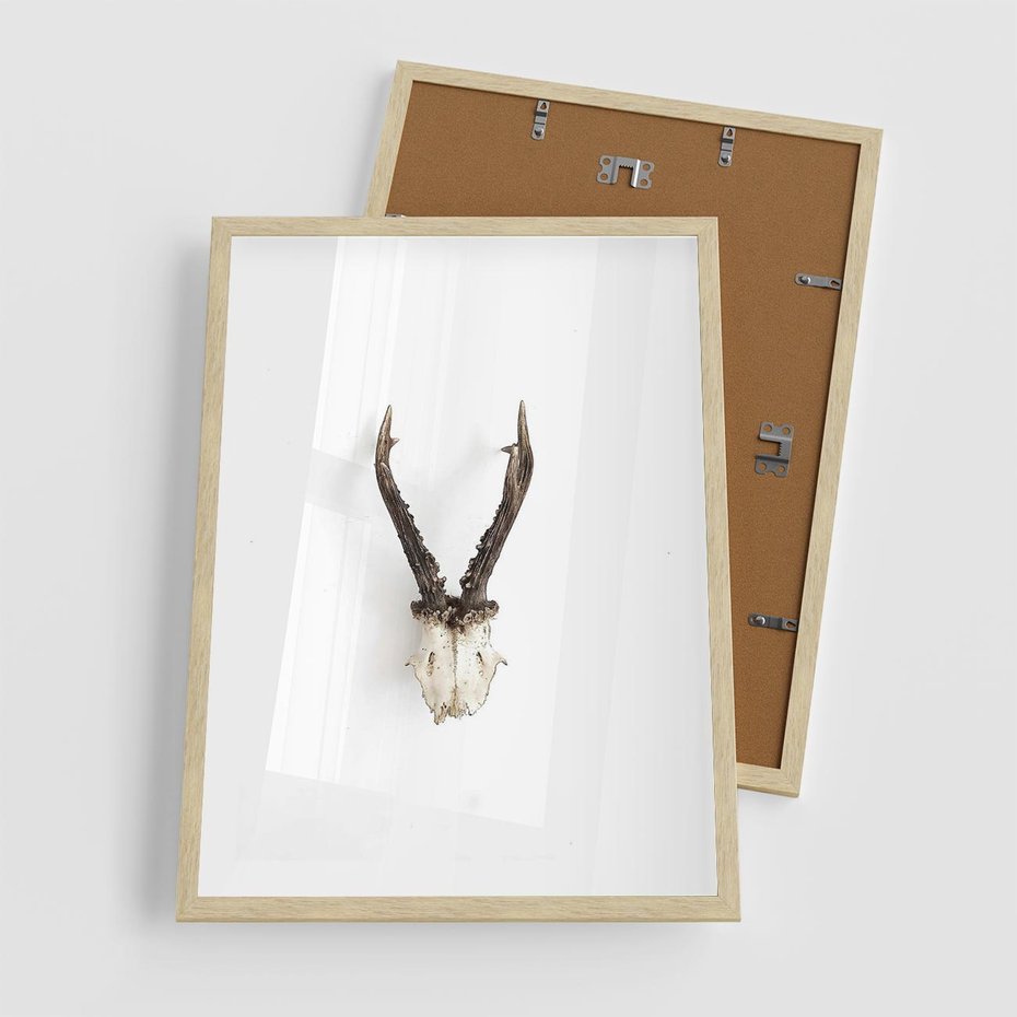 Plakat w ramie 50x70 - Minimalistyczne Poroże Jelenia - poroże jelenia na ścianie, minimalizm - rama drewno
