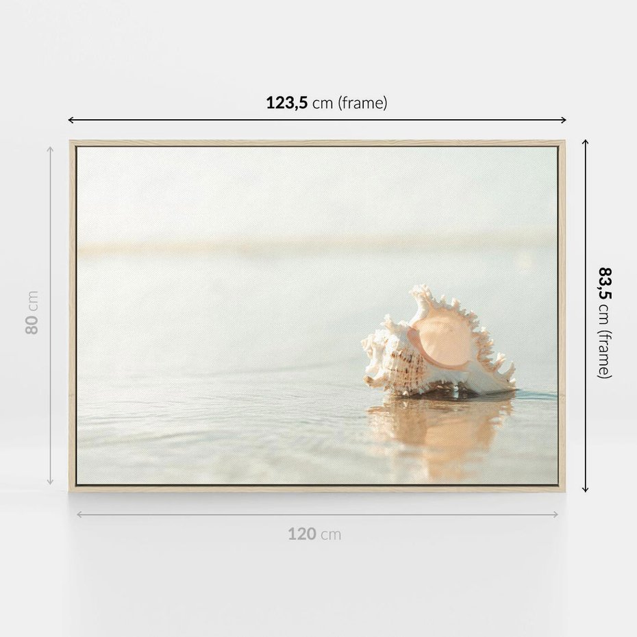 Obraz w ramie 120x80 - Spokój Plaży - fotografia, biała muszla na plaży - rama drewno