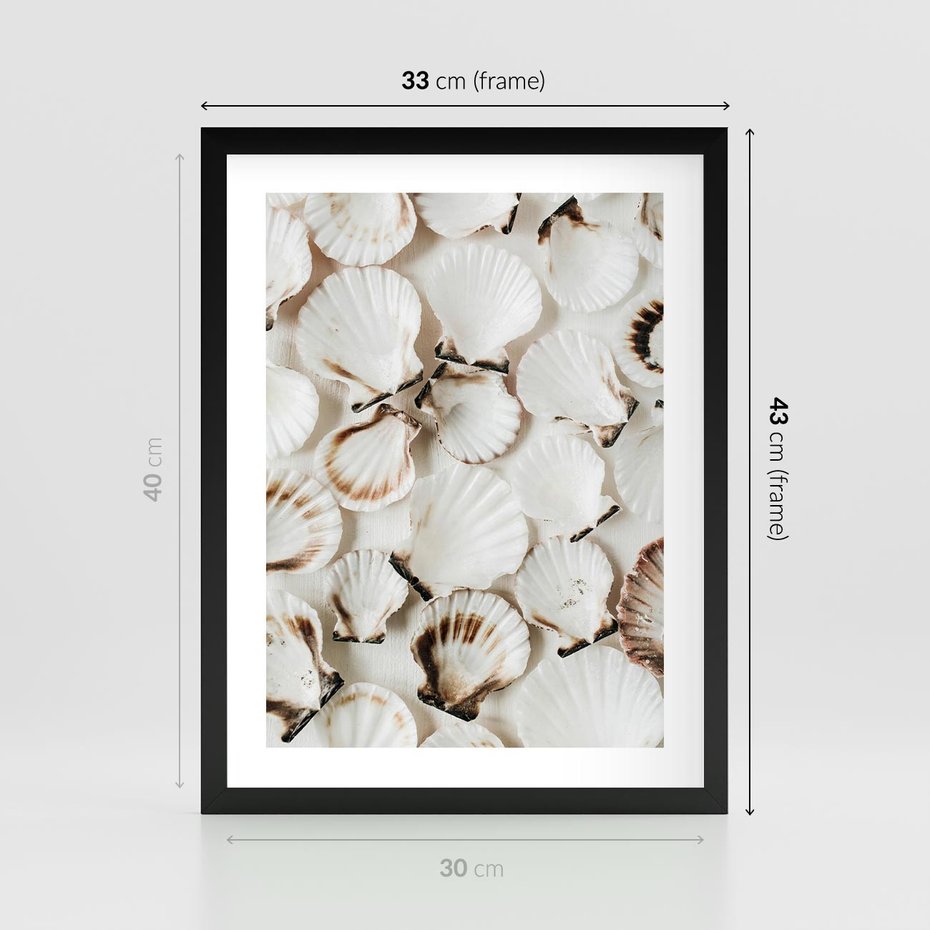 Plakat w ramie 30x40 - Białe Muszle - białe muszle, ujęcie z góry - rama czarna