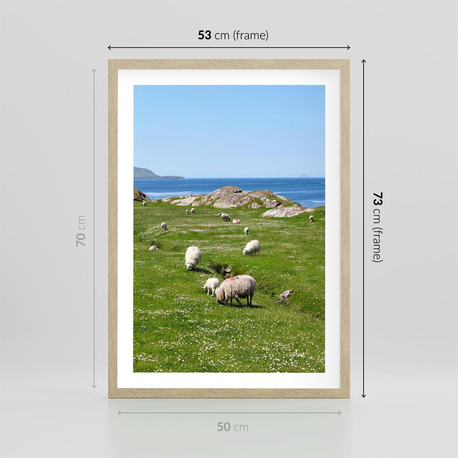 Plakat w ramie 50x70 - Górskie Owce - góry, owce - rama drewno