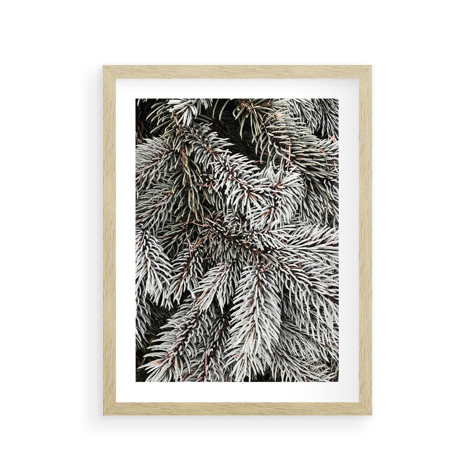 Plakat w ramie 30x40 - Cisza Zimowej Natury - zima, iglaste gałązki - rama drewno