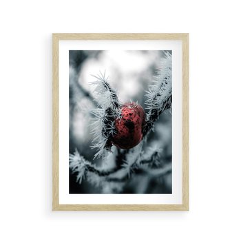 Plakat w ramie 30x40 - Chwila Zimowego Uroku - zima, ośnieżona gałązka - rama drewno