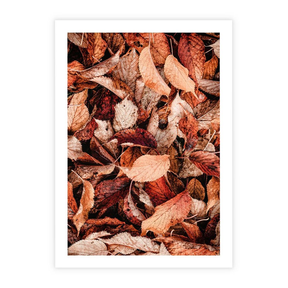 Plakat bez ramy 30x40 - Magia Jesiennej Ziemi - liście, jesień