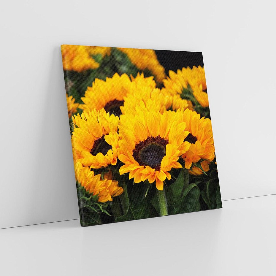 Obraz na płótnie 50x50 - promień słoneczny w kwiatowym świecie - słoneczniki, kwiat