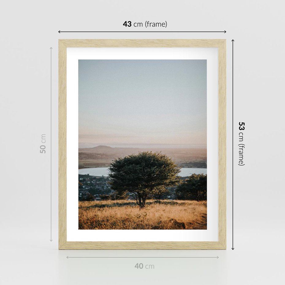 Plakat w ramie 40x50 - Siła Natury - drzewo, pejzaż - rama drewno