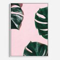 Obraz w ramie 50x70 - Siła Natury - liście, monstera - rama biała