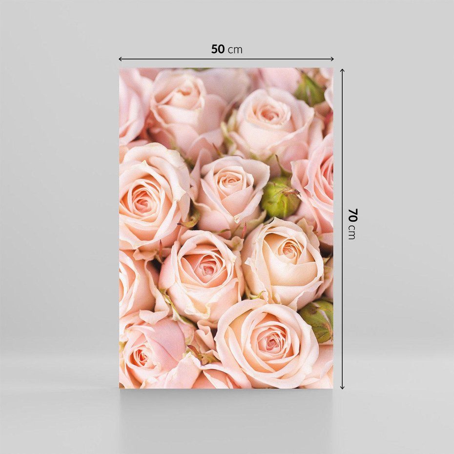 Obraz na płótnie 50x70 - Delikatność róż - piękno natury - róże, kwiaty