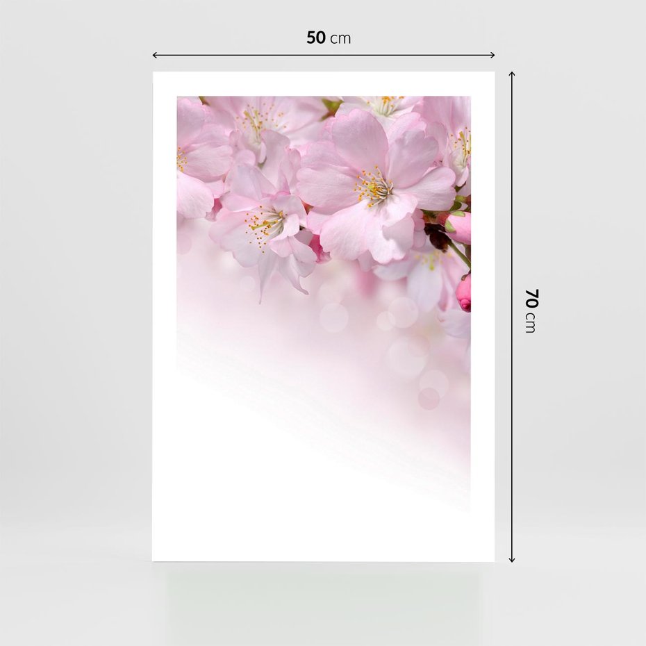 Plakat bez ramy 50x70 - Kwitnąca Wiśnia - kwiaty, kwitnącej