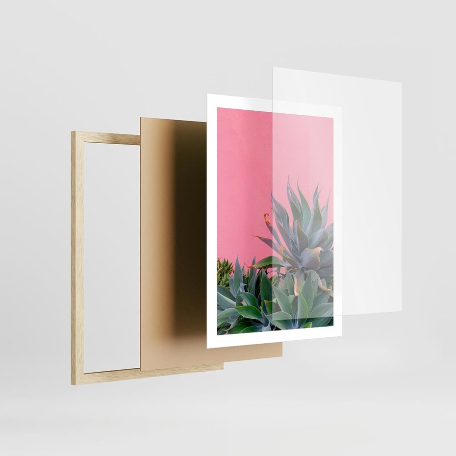 Plakat w ramie 50x70 - Tropikalne Liście na Różowej Ścianie - różowa ściana, tropikalne liście na jej tle - rama drewno