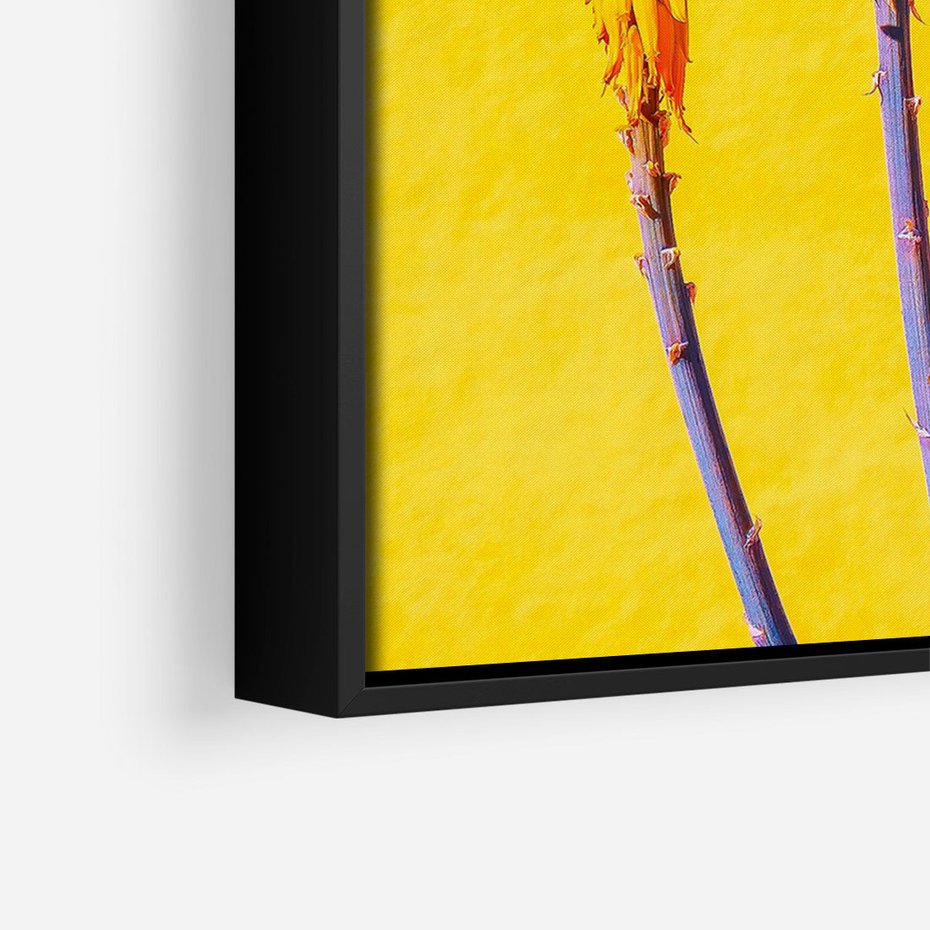 Obraz w ramie 70x100 - Radość Natury - kolor, kwiaty - rama czarna