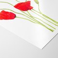 Plakat bez ramy 21x30 - Pola maków w pełnym kolorze - maki, kwiaty