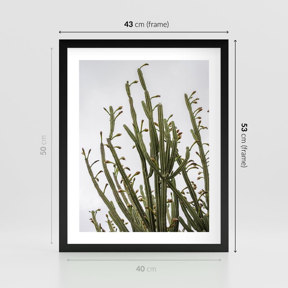 Plakat w ramie 40x50 - Ekskluzywna Roślinność - kaktusy, liście - rama czarna