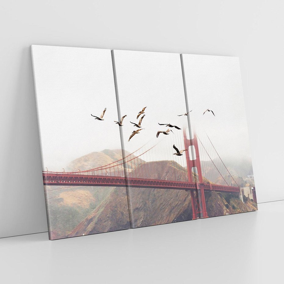 Obraz na płótnie 120x80 - Mewy przy Złotej Bramie - mewy, Golden Gate