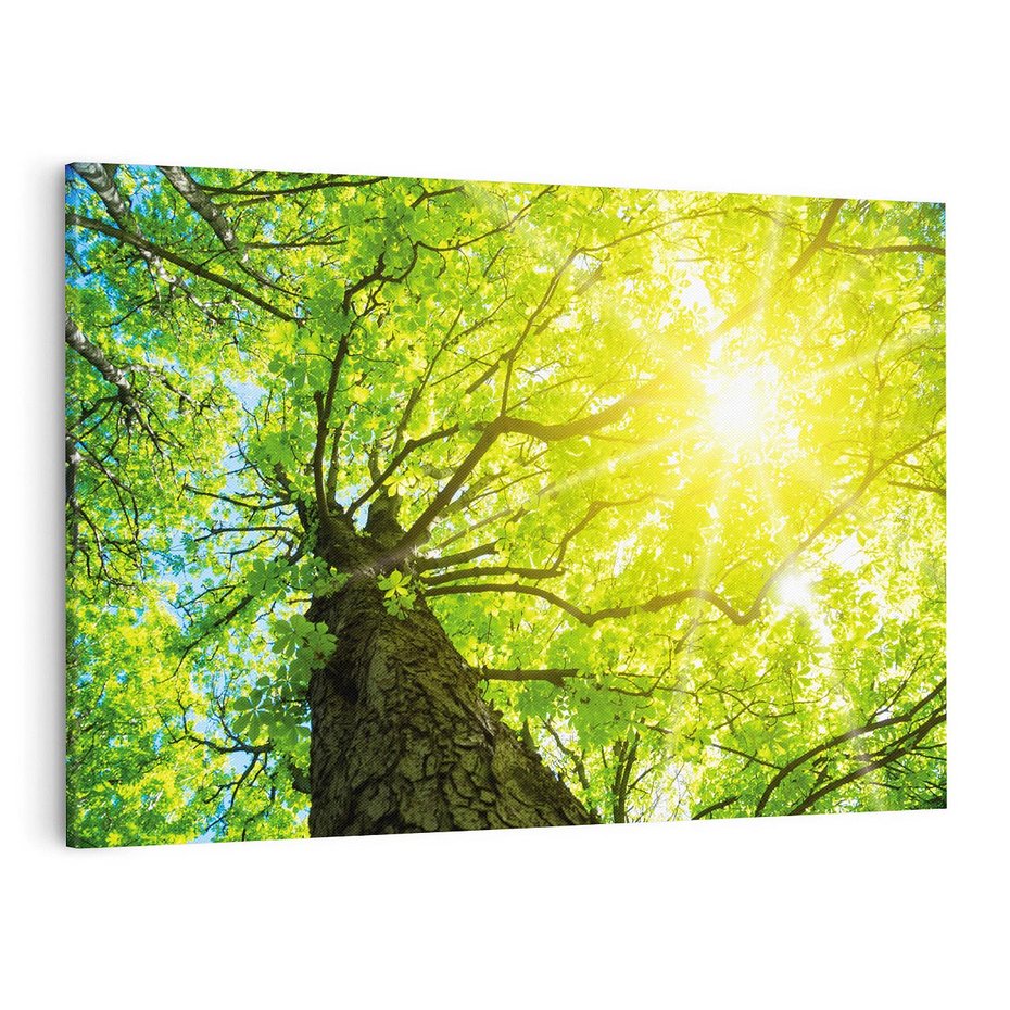 Obraz na płótnie 100x70 - Drzewo pod Słońcem: Łączność z Naturą - drzewo, słońce