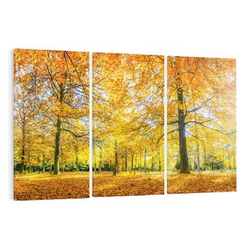 Obraz na płótnie 120x80 - Jesień w Lesie: Urok Lasu - jesień, las