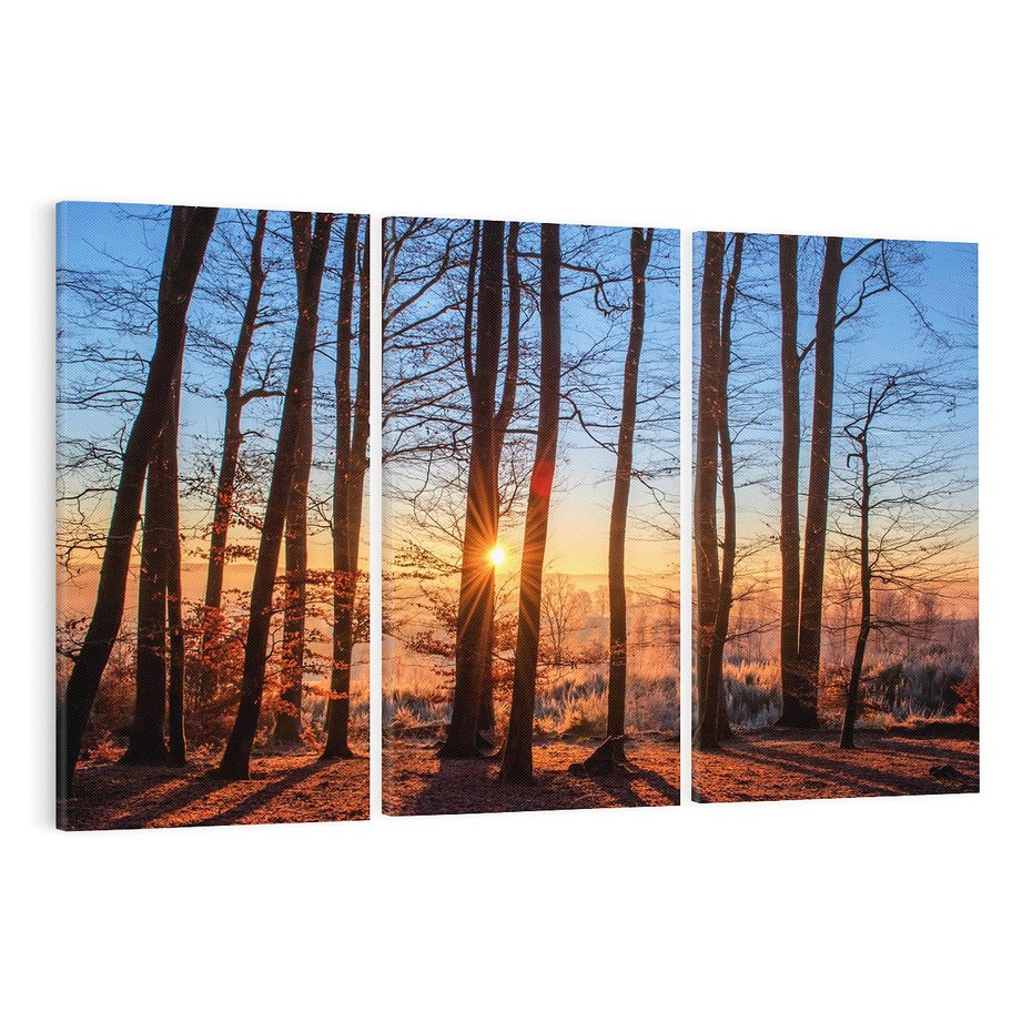 Obraz na płótnie 120x80 - Zachód słońca w jesiennym lesie - zachód słońca,