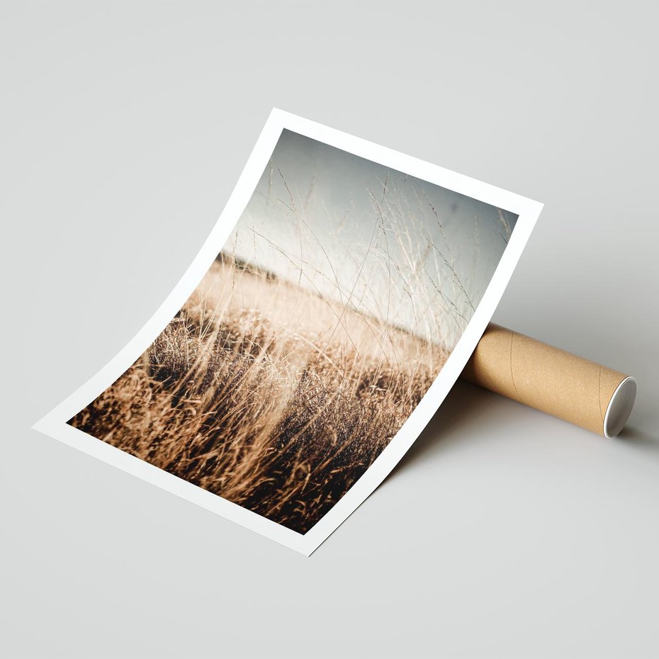 Plakat bez ramy 30x40 - Sucha Trawa w Odcieniach Sepii - suche trawy, łąka odcienie beżu