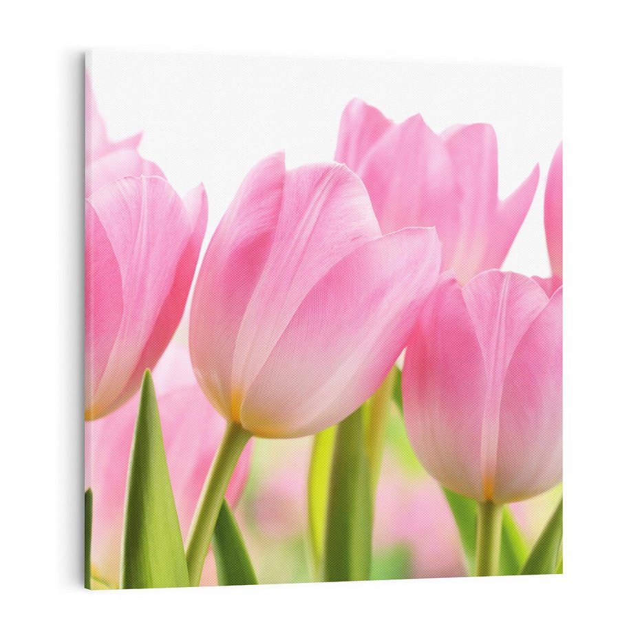 Obraz na płótnie 60x60 - Kwiaty w pełnym rozkwicie - kwiat, Kwiaty