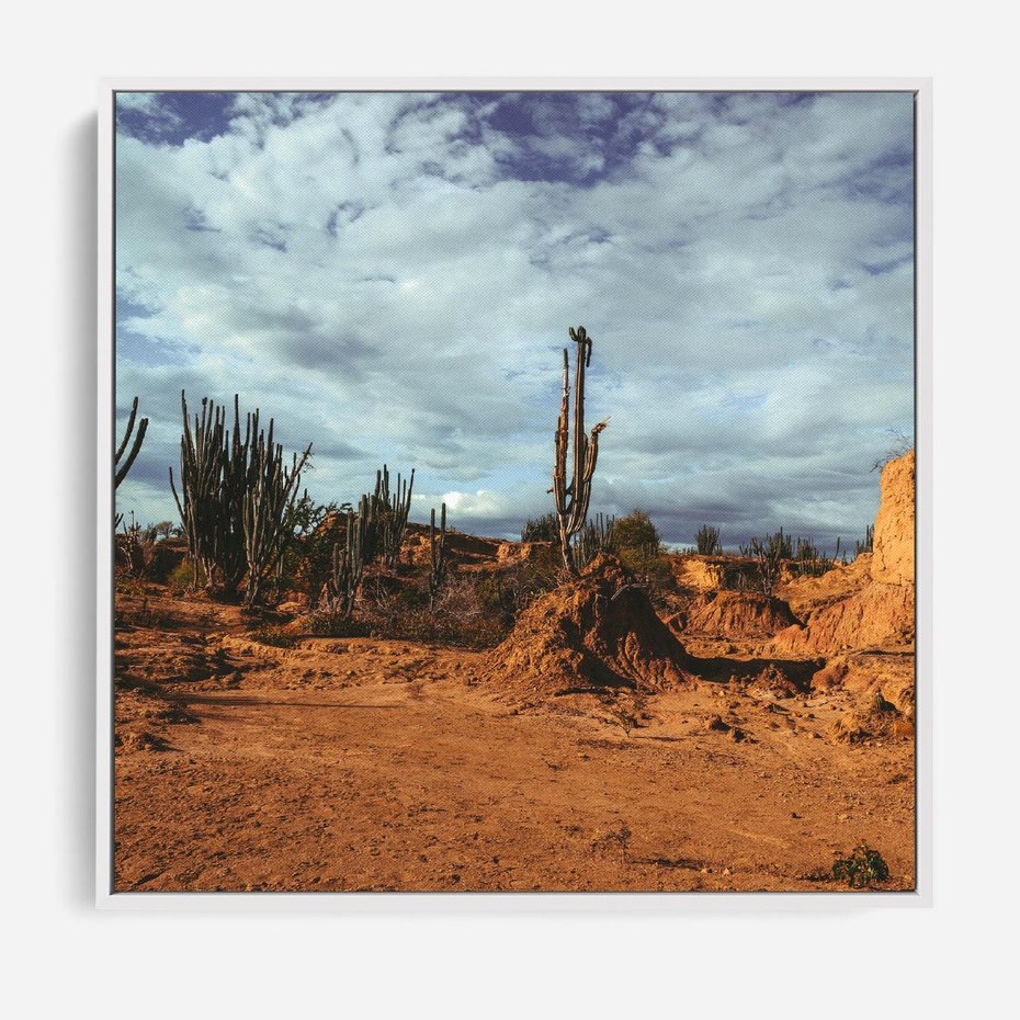 Obraz w ramie 80x80 - Skarby Pustynnego Kanionu - pustynia, kaktusy - rama biała