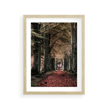 Plakat w ramie 40x50 - Spacer po Leśnej Drodze - ścieżka w lesie, jesień suche liście - rama drewno