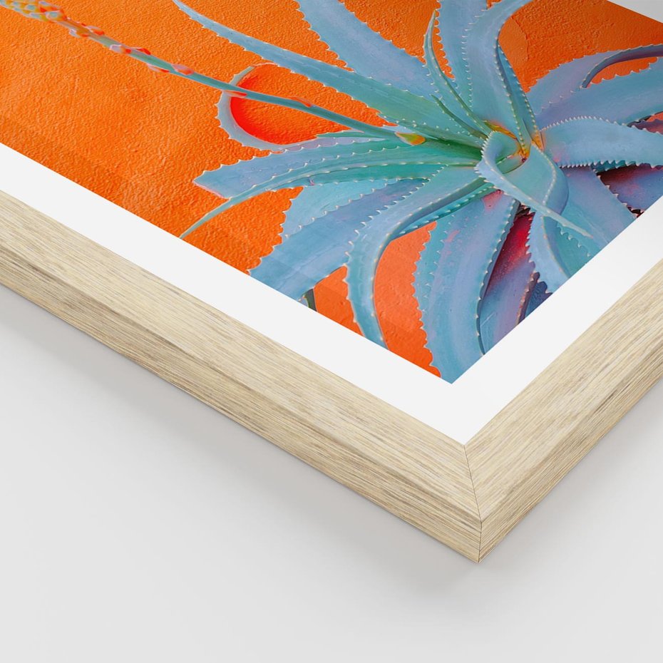 Plakat w ramie 40x50 - Naturalna Harmonia - kaktusy, liście - rama drewno