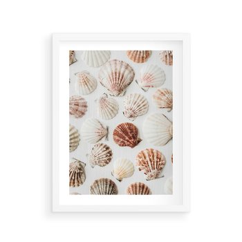 Plakat w ramie 50x70 - Morska Delikatność: Muszelki na Białym Tle - kompozycja, morskie muszelki na białym tle - rama biała