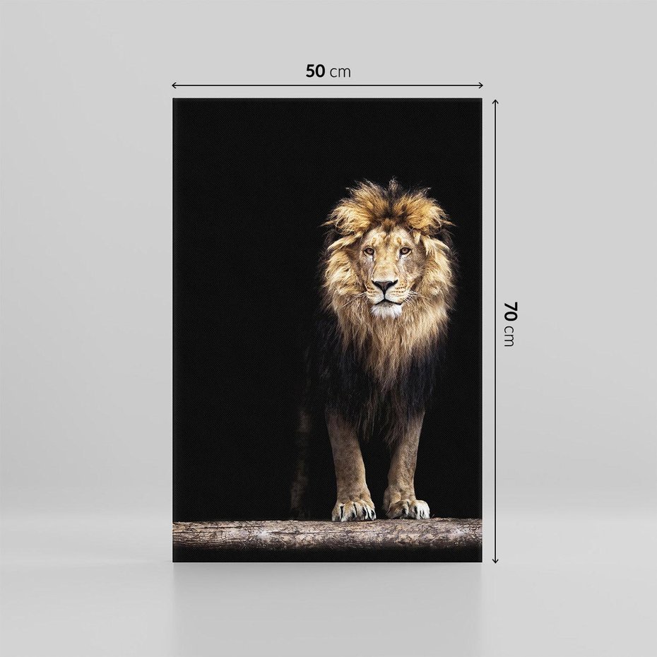 Obraz na płótnie 50x70 - Lew: dzikie piękno natury - lew, dzikie