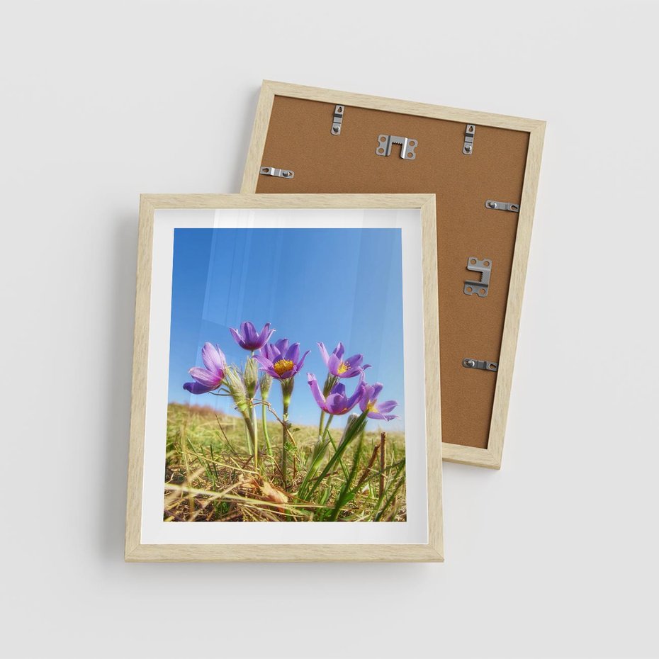 Plakat w ramie 40x50 - Kwiatowa siła łąki - kwiaty, łąka - rama drewno