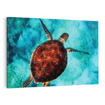Obraz na płótnie 120x80 - Morze, fale i skały - żółw, morze