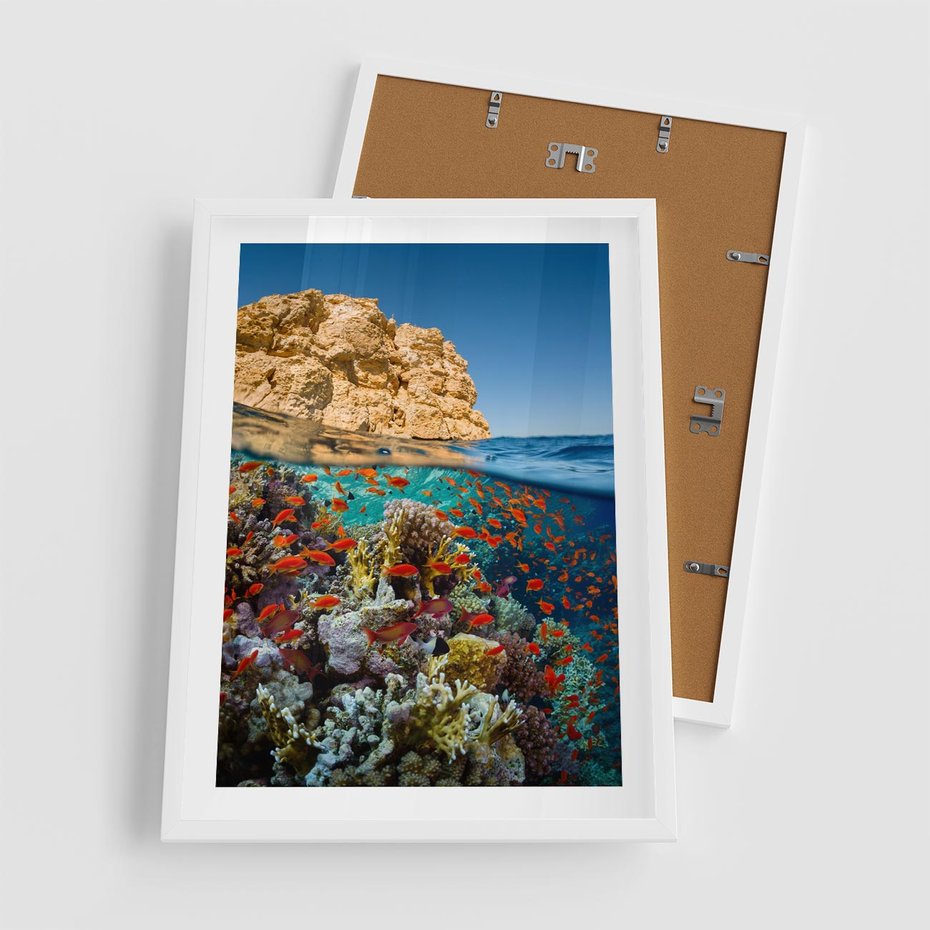 Plakat w ramie 50x70 - Rafa koralowa w oceanie - rafa, koralowa - rama biała