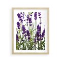 Plakat w ramie 40x50 - Fioletowa harmonia lawendy - lawenda, fiolet - rama drewno