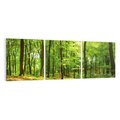 Obraz na płótnie 120x40 - Mistyka leśnych drzew - las, drzewa