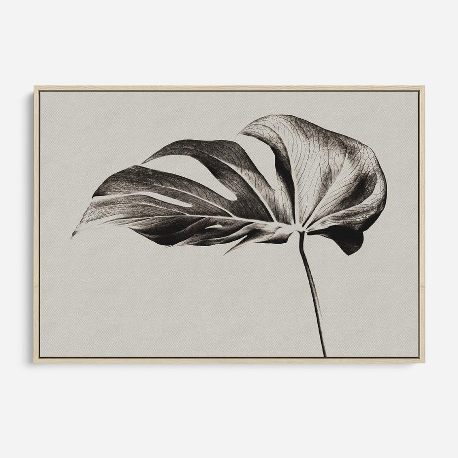 Obraz w ramie 100x70 - Szepczący Liść - szkic, czarno biały - rama drewno