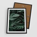 Plakat w ramie 50x70 - Zielone Liście Monstery w Dżungli - zielone liście monstery, dżungla - rama czarna