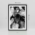 Plakat w ramie 50x70 - Liście w Czarno-Białej Fotografii - liście, roślina - rama czarna