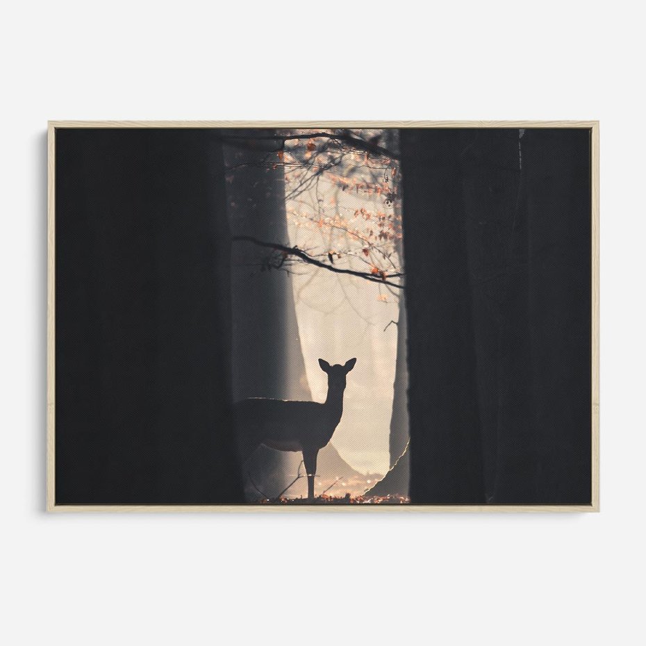 Obraz w ramie 70x50 - Sarnie Skoki - zdjęcie, klimatyczny las - rama drewno