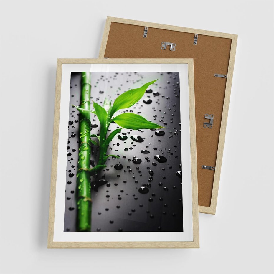 Plakat w ramie 50x70 - Bambusowa Harmonia - bambus, liście - rama drewno