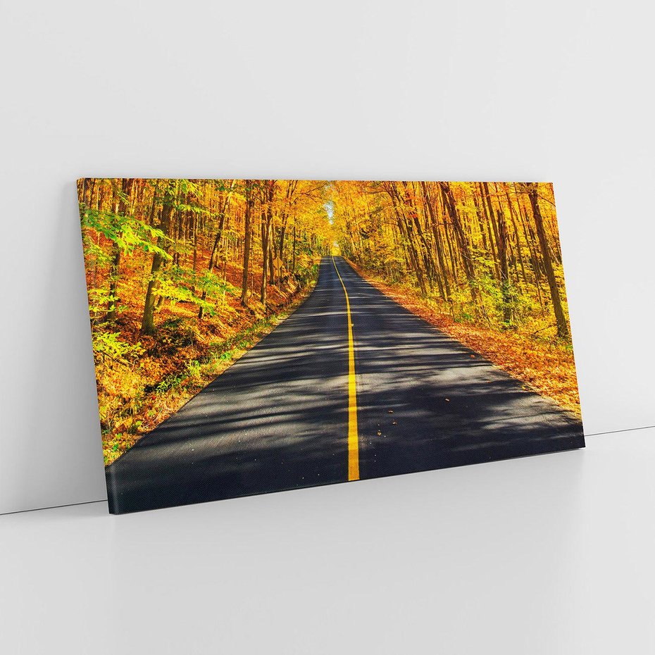Obraz na płótnie 120x60 - Droga przez jesienny las - droga, las