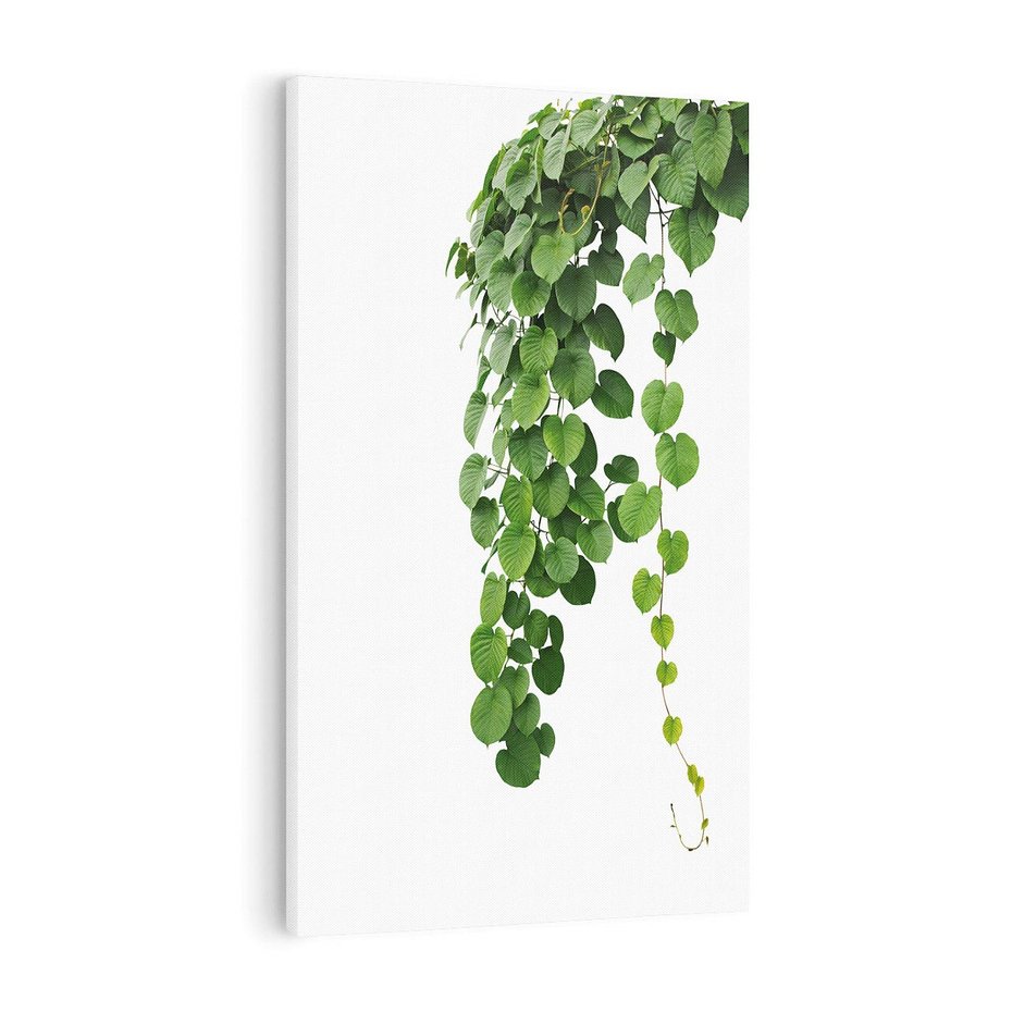 Obraz na płótnie 70x100 - Świeżość Natury - liście, zielone