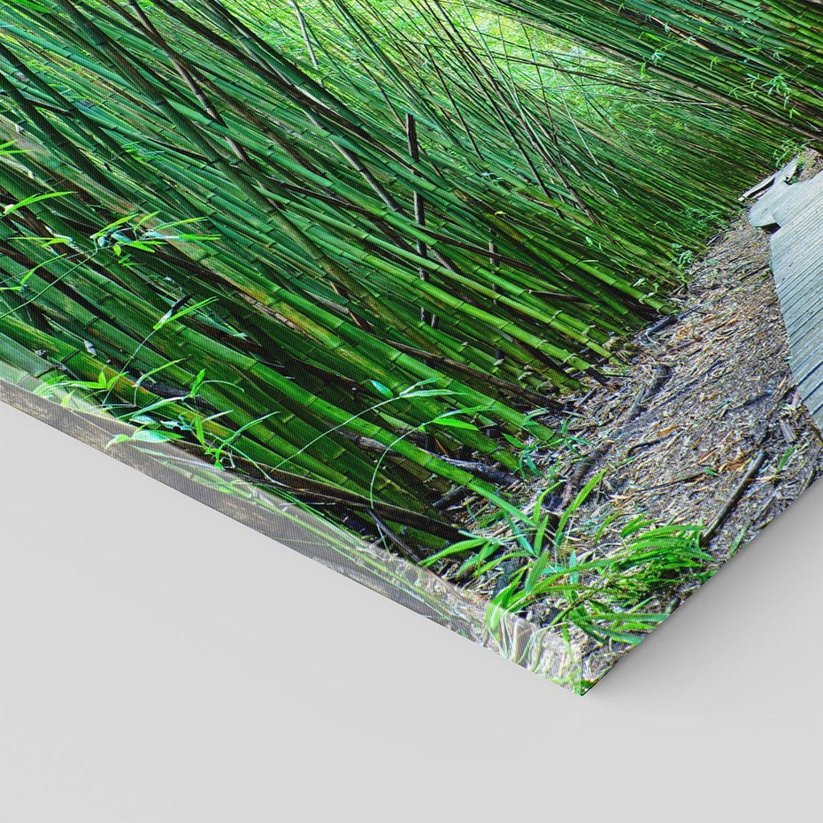 Obraz na płótnie 70x70 - Spacer wśród lasu - ścieżka, las