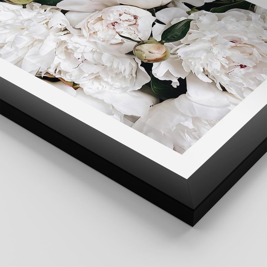 Plakat w ramie 50x70 - Modne Białe Kwiaty - białe kwiaty, płatki - rama czarna